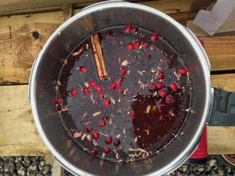 Summer Medicine workshop brewing a summer elixir with herbs and berries in a deep pan