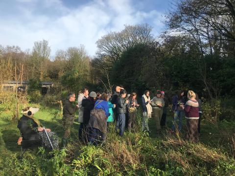 Autumn Medicine workshop group of people foraging wild herbs in the garden