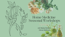 flyer spring medicine workshop herbal medicines 